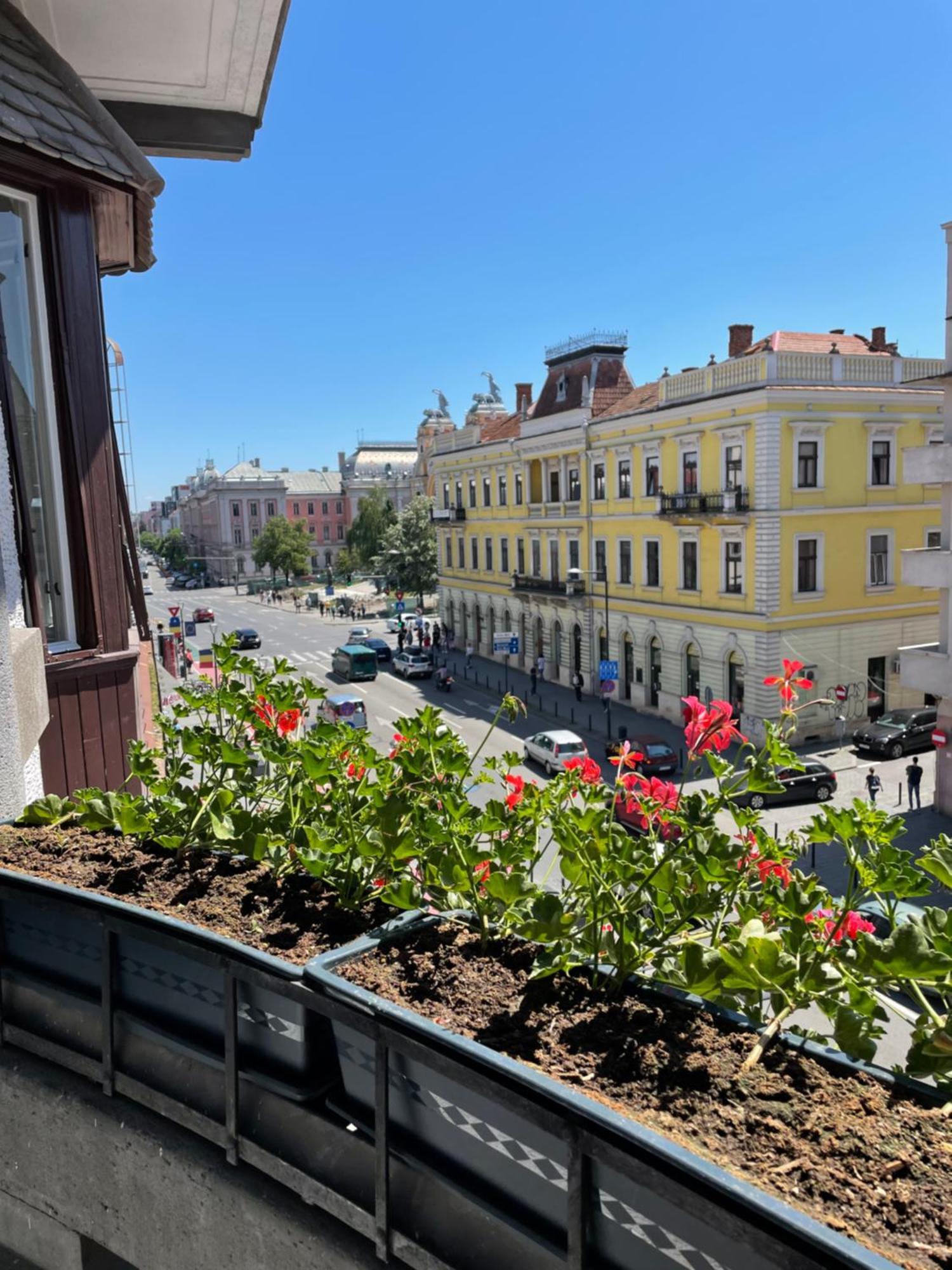 Апартаменты Littleparis Клуж-Напока Экстерьер фото